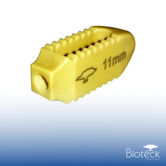 Cage Lombar Percutâneo em PEEK