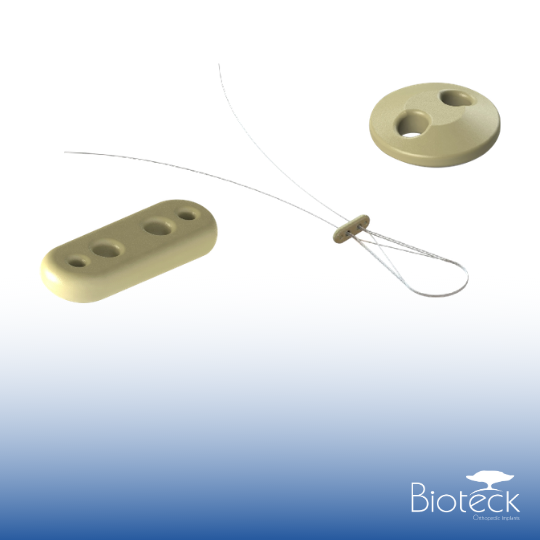 Placa e Disco Endoteck em PEEK